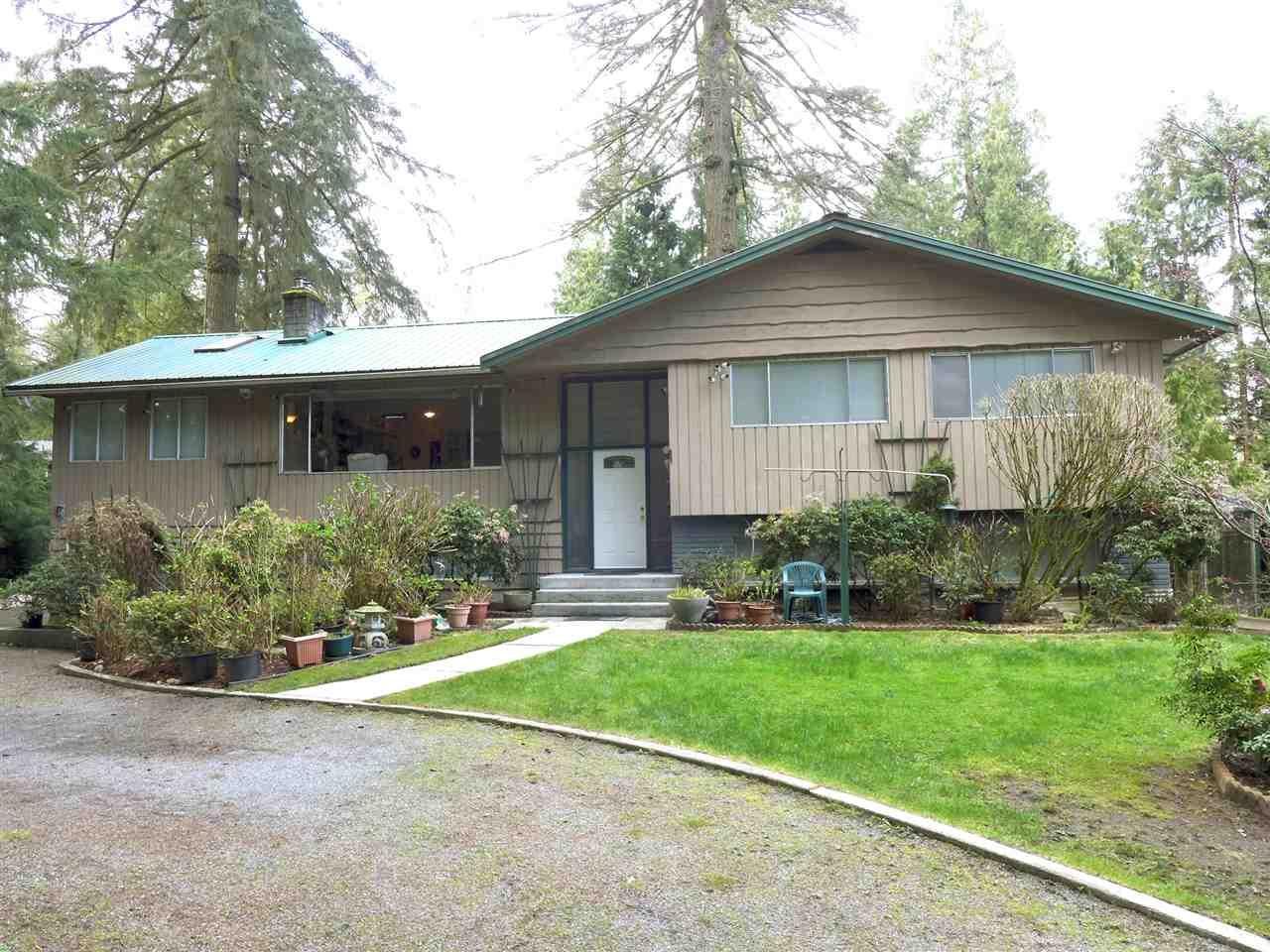 13817 56A Avenue - Photo 1