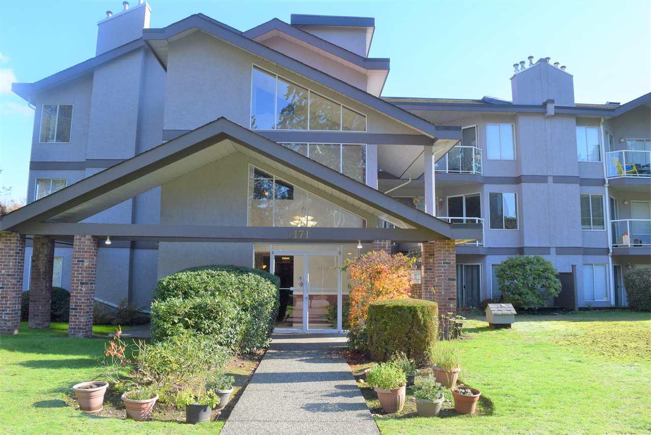 1171 Pipeline Road - Photo 1