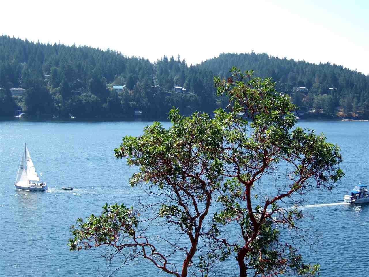 Lot 29 Pender Landing Road - Photo 1