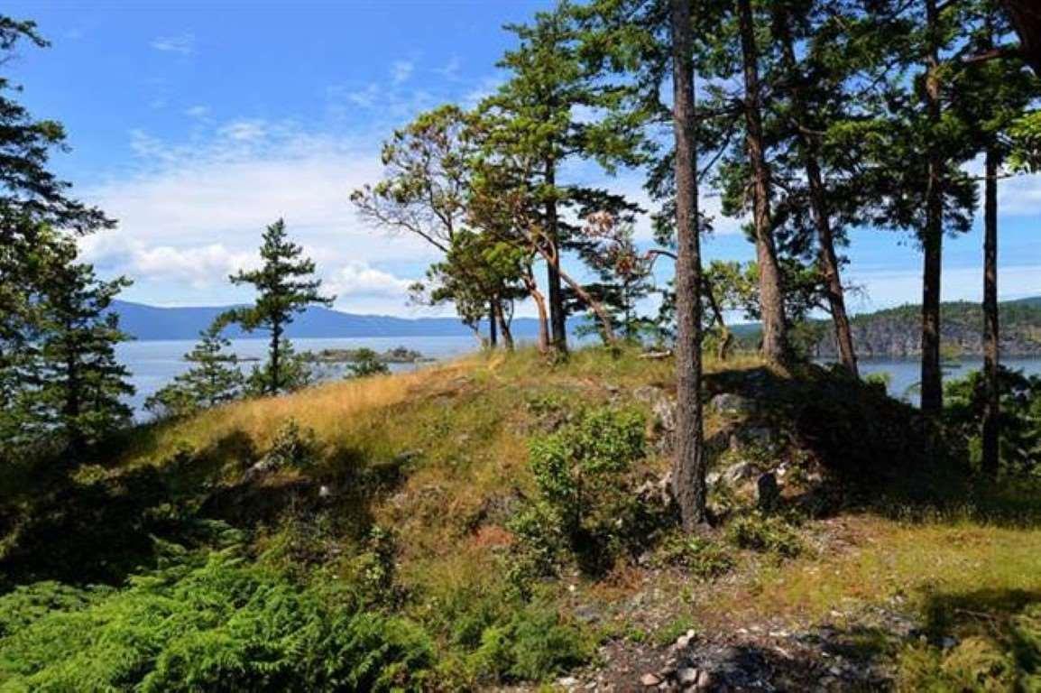 LOT 54 Orca Road - Photo 1