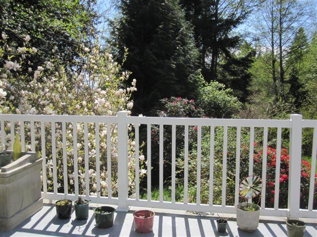 946 Gower Point Road - Photo 1
