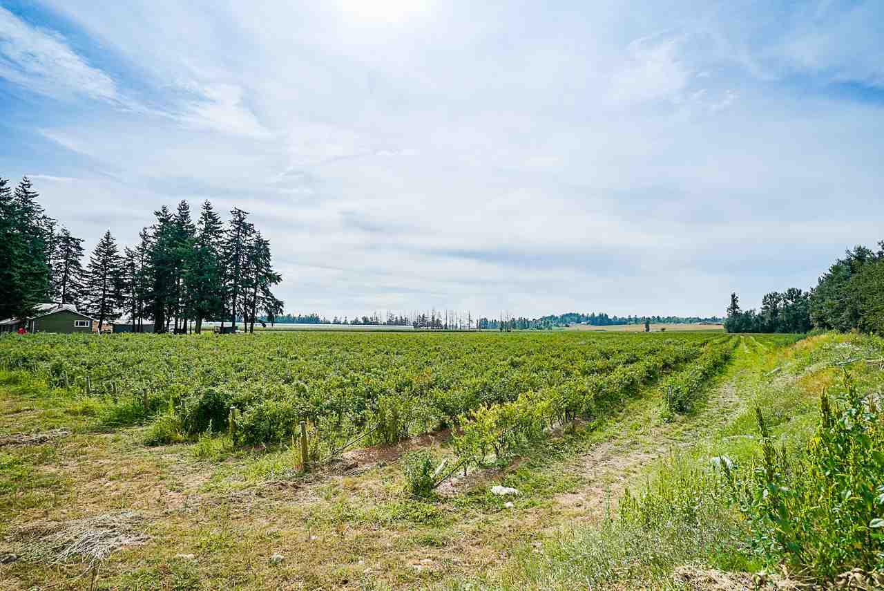 625 Bradner Road - Photo 1