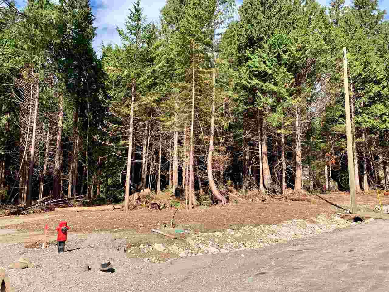 LOT 11 Largo Road - Photo 1