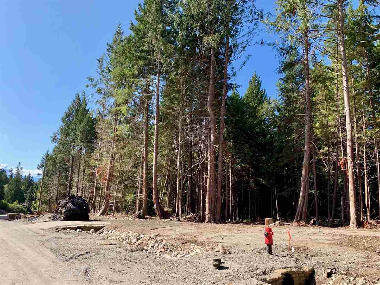 LOT 12 Largo Road - Photo 1