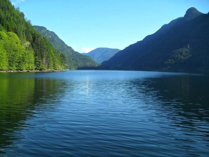 DL 1027 Indian Arm - Photo 1