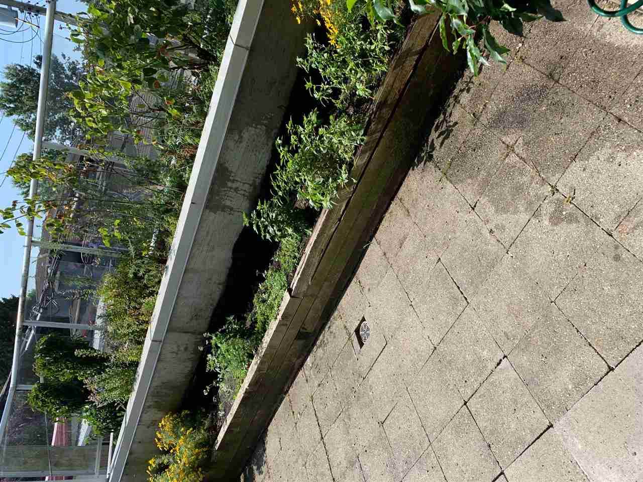 2238 Kingsway - Photo 1