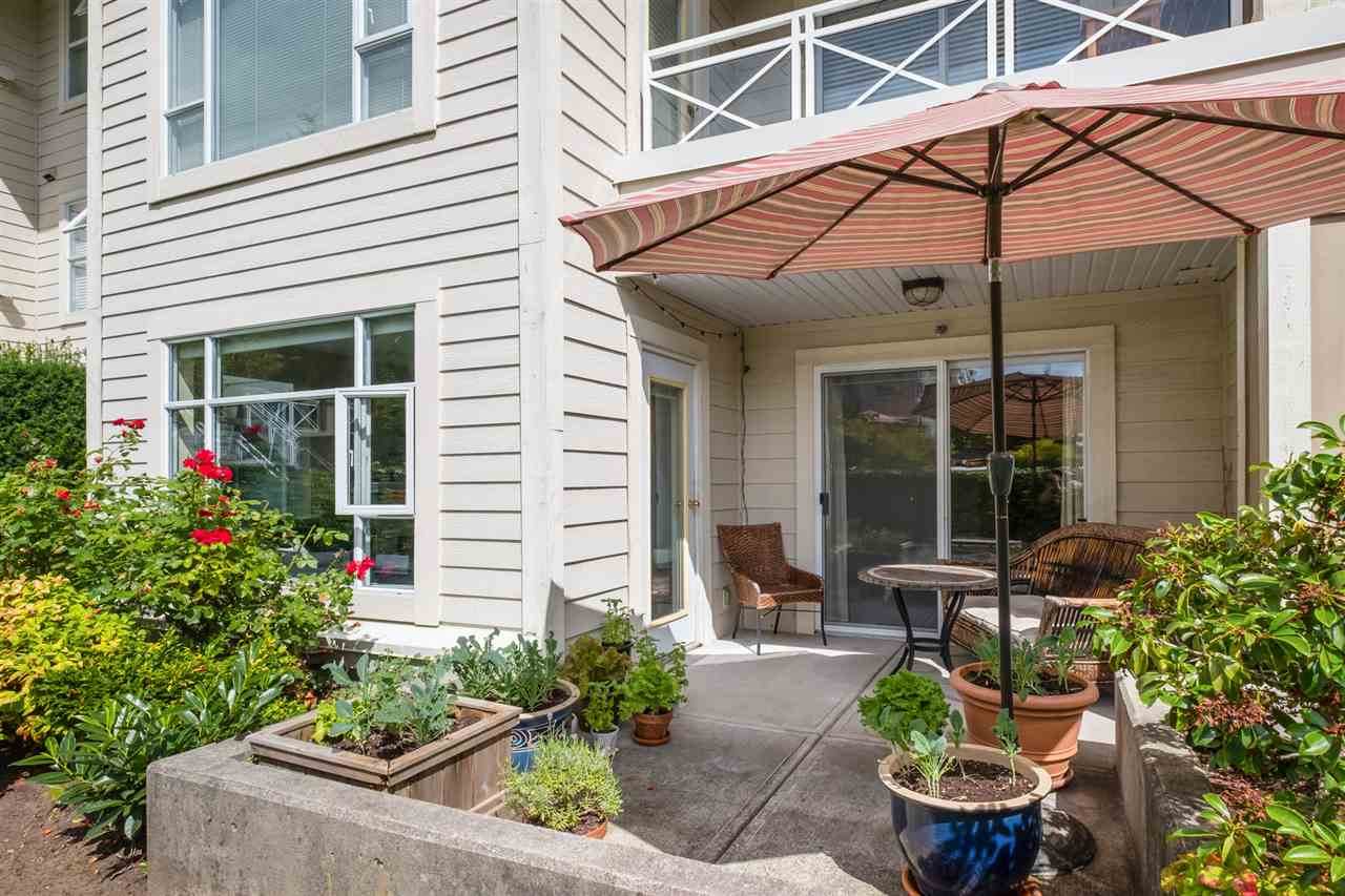 3625 Windcrest Drive - Photo 1