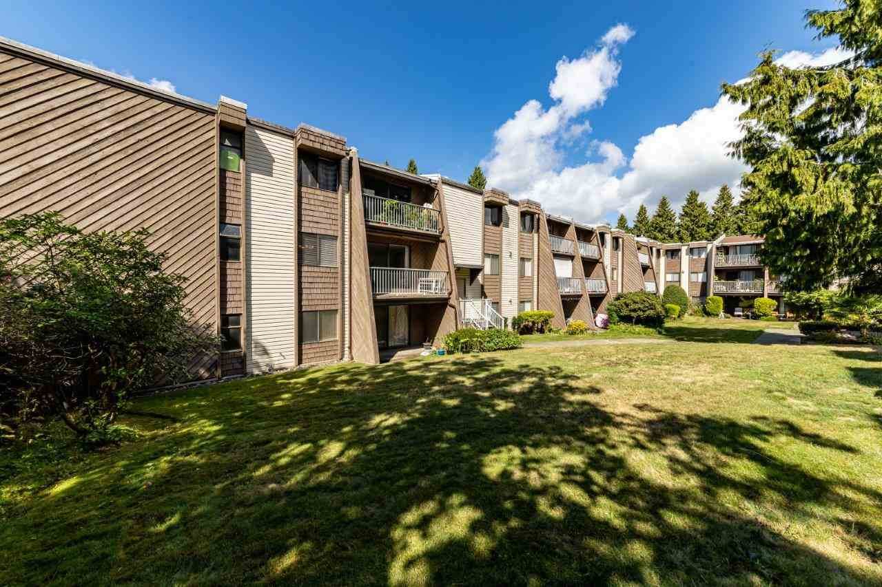 3911 Carrigan Court - Photo 1