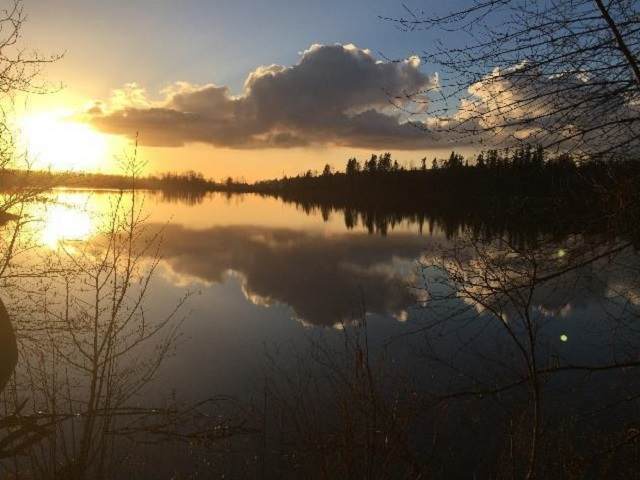 DL 437 Lougheed Highway - Photo 1