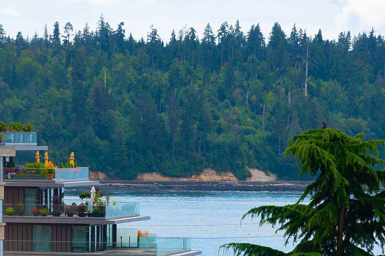 1412 Esquimalt Avenue - Photo 1