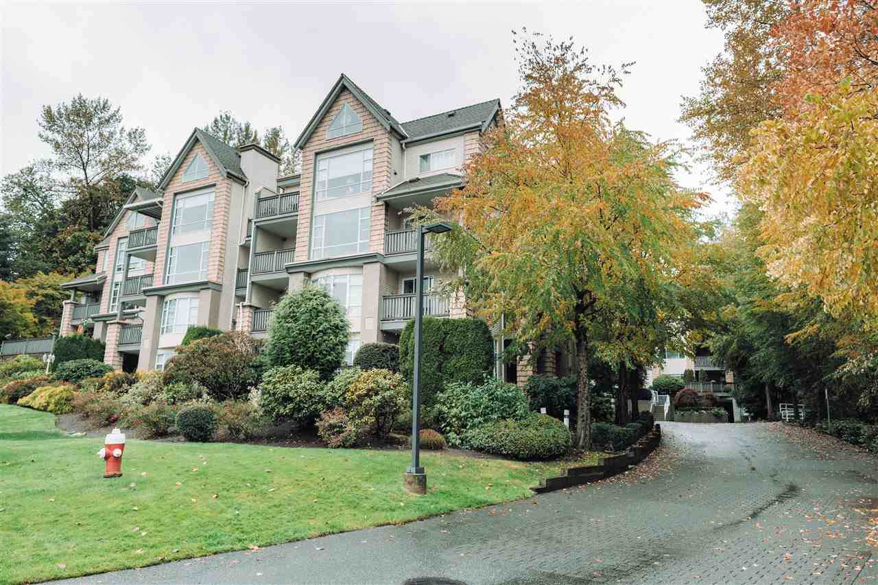 22233 River Road - Photo 1