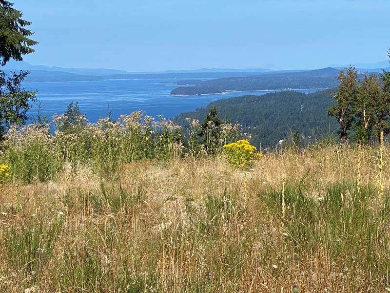 Lot 12 Southern Way - Photo 1