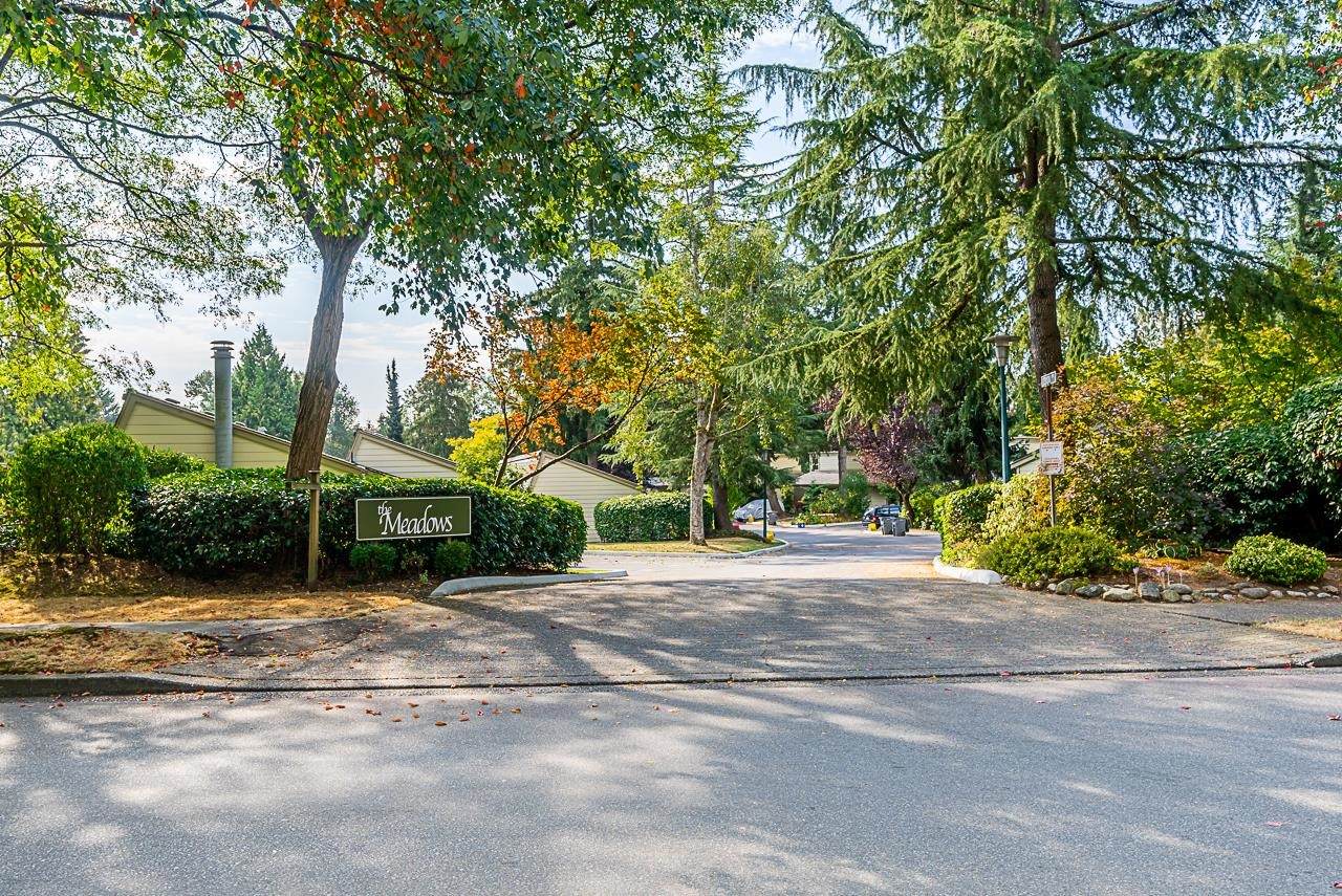 7206 Celista Drive - Photo 1