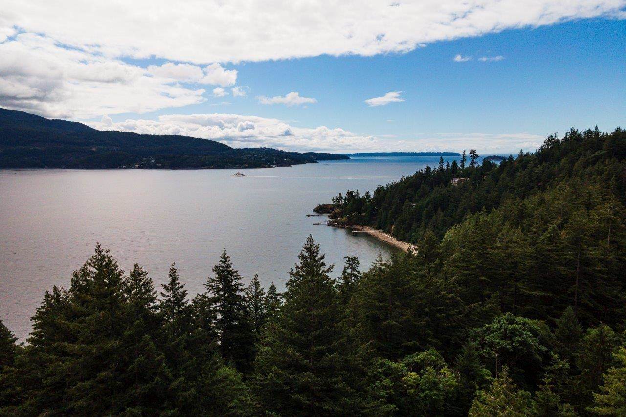 1390 Eagle Cliff Road - Photo 1