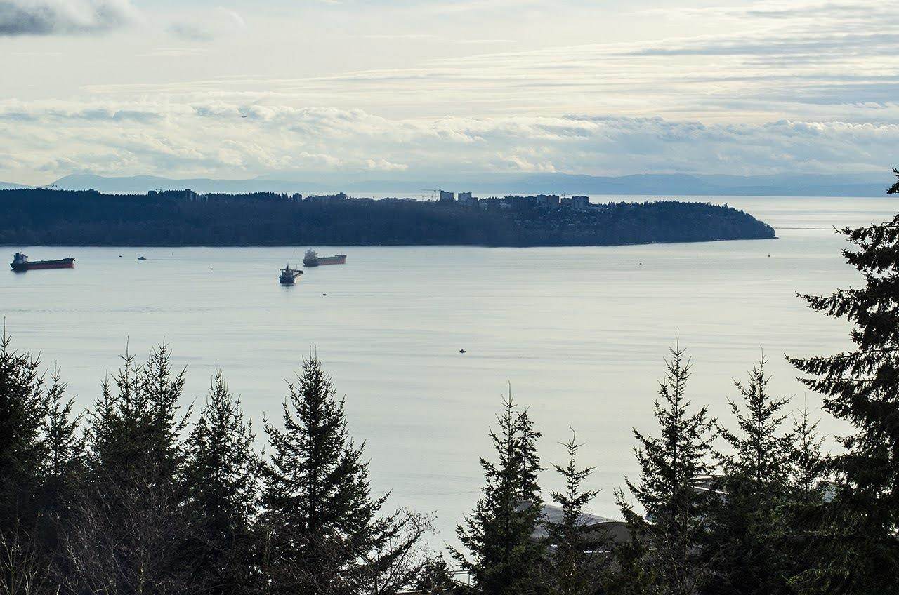 3101 Burfield Place - Photo 1