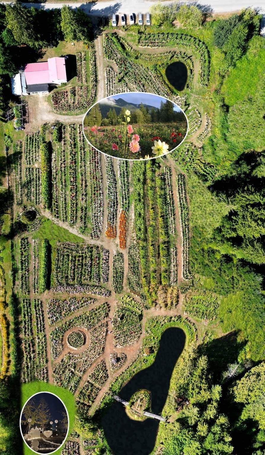 13842 Spratt Road - Photo 1