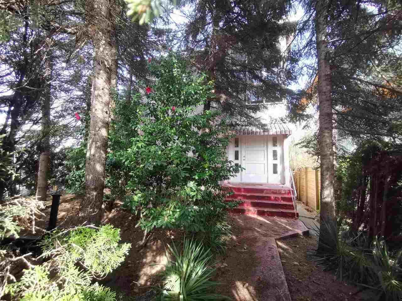 8568 Oak Street - Photo 1