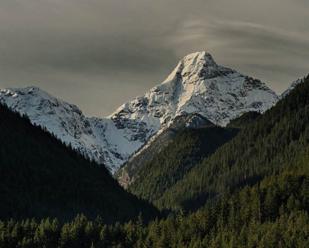 71423 Grove Boulevard - Photo 1