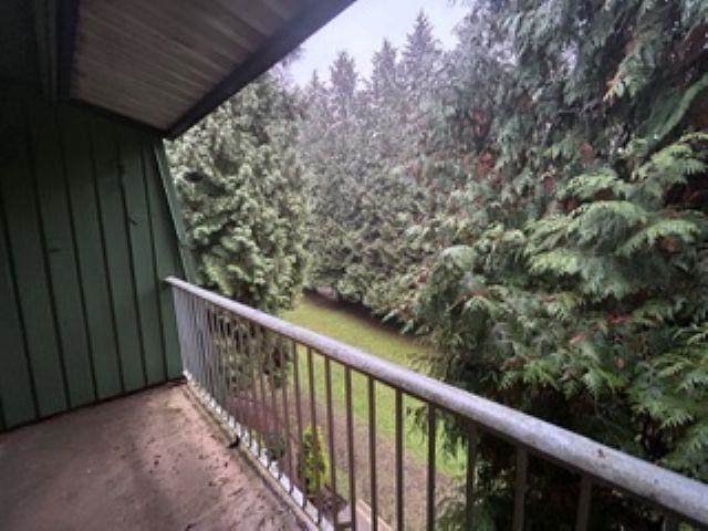 3901 Carrigan Court - Photo 1