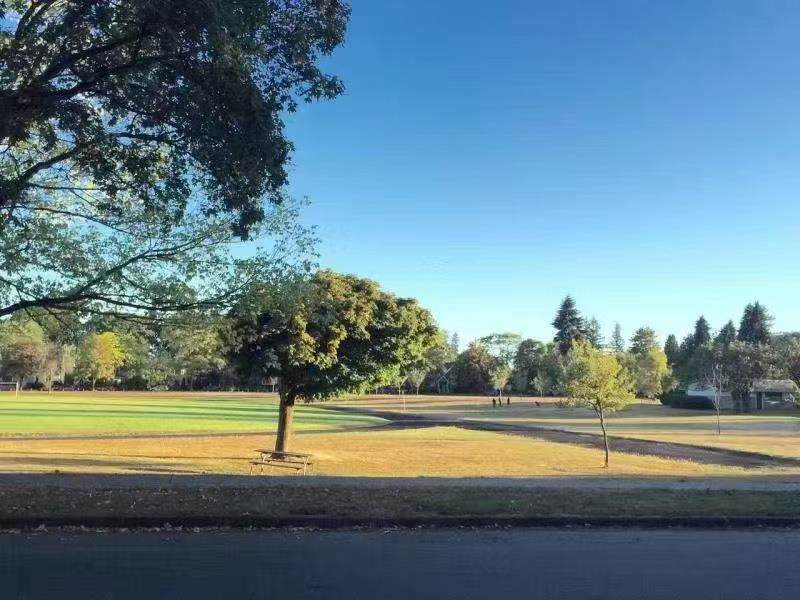 3093 29th Avenue - Photo 1
