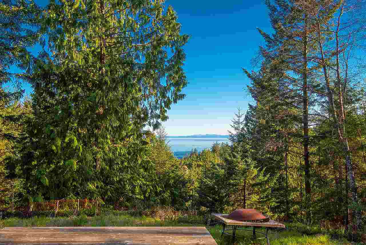 347 Aerie Tree Lane - Photo 1