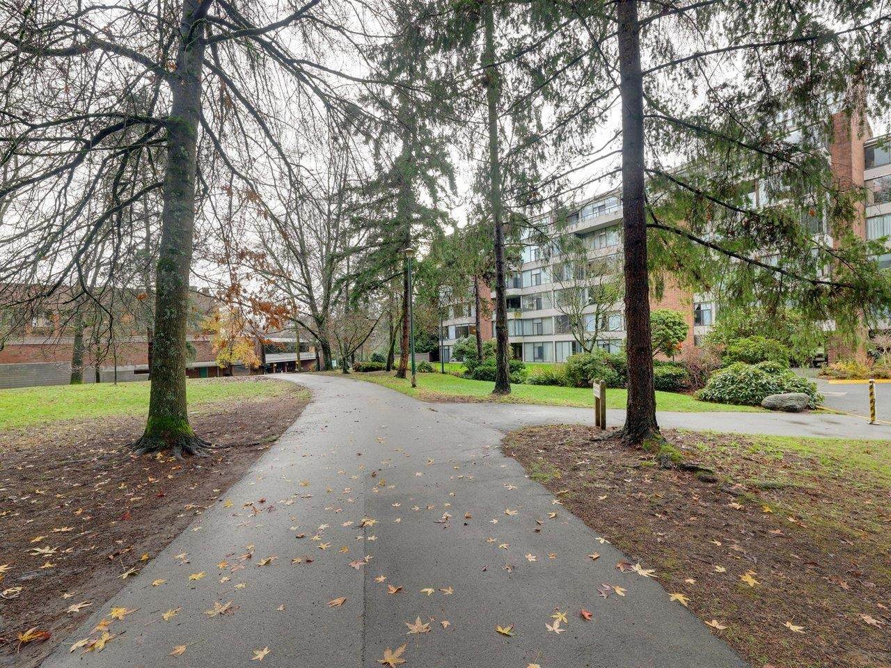 4101 Yew Street - Photo 1