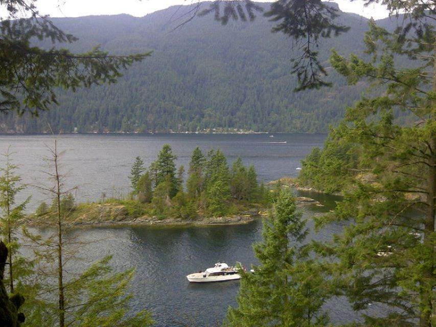 3 Indian Arm - Photo 1