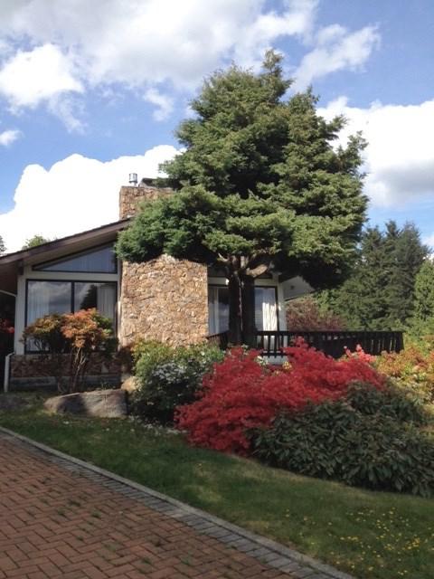 1255 Chartwell Place - Photo 1