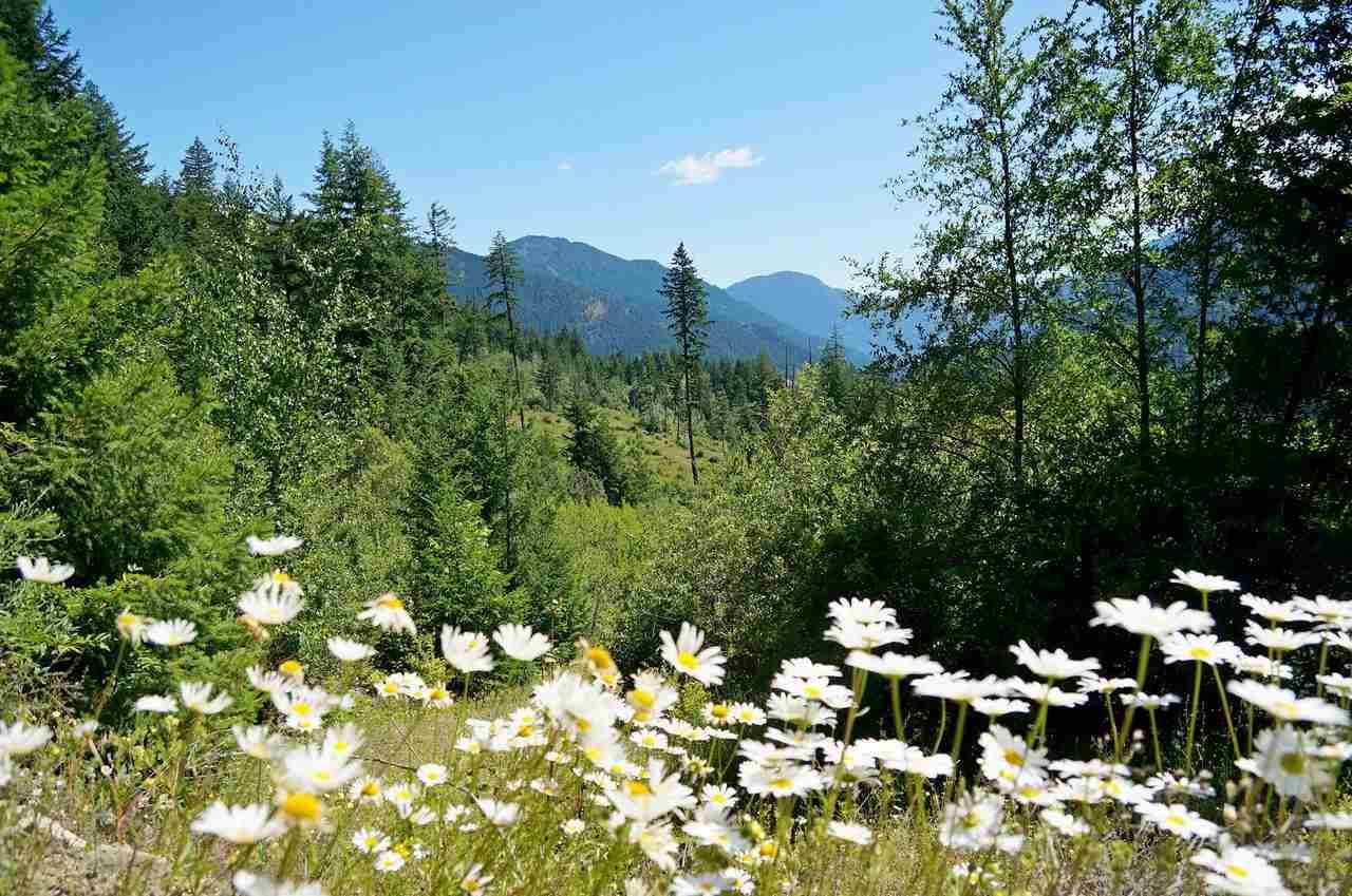 51600 Trans Canada Highway - Photo 1