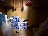 3615 Avenue K - Photo 9