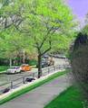 166 Arlo Road - Photo 14