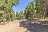 0 Grizzly Way - Photo 1