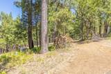 0 Grizzly Way - Photo 10