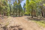 0 Grizzly Way - Photo 8