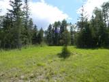 115 Meadow Ponds Drive - Photo 6
