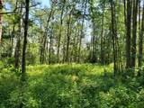 Lot 4 Campsite Road - Photo 9