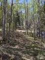15538 Old Trail - Photo 4