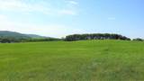  79.41 Acres Se-13-22-3W5 - Photo 25