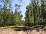 692059 RGE RD 104A Wapiti River - Photo 3