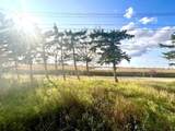 4834 59 Street - Photo 2