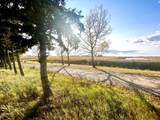 4834 59 Street - Photo 3