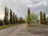 8622 72 Avenue - Photo 2