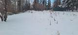 38449 Highway 20 - Photo 4