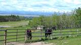 290254 96 Street - Photo 2