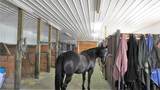290254 96 Street - Photo 32