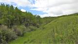 290254 96 Street - Photo 48