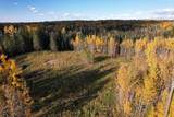 Lot 5 114046 Township 590 - Photo 1