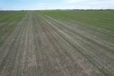  On Twp Rd 252 - Photo 9