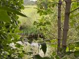 4810 46 Street - Photo 2