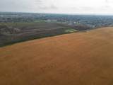 3505 30 Street - Photo 8
